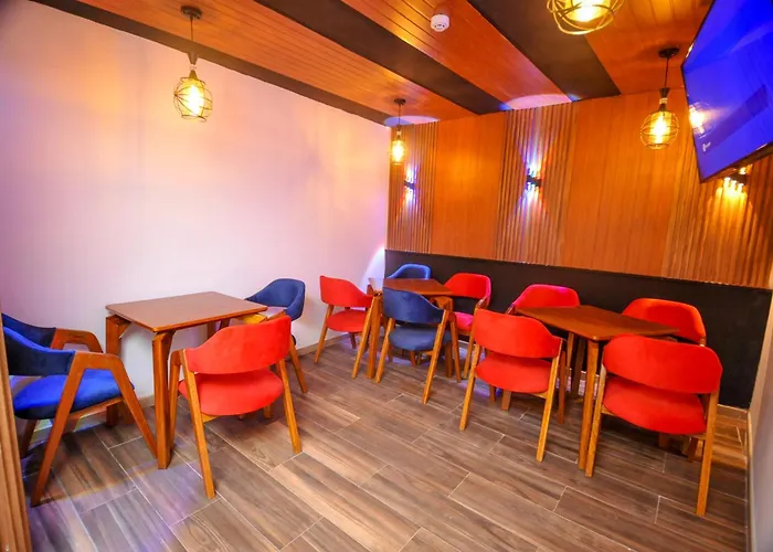 Hotel San Francisco Pardo