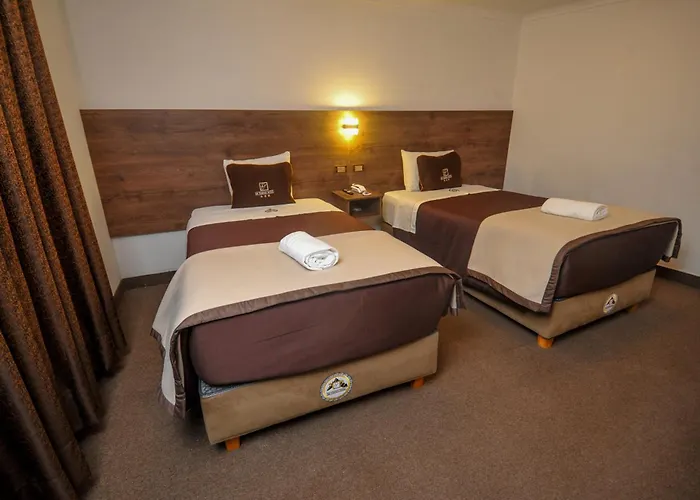 Hotel San Francisco Pardo 3*